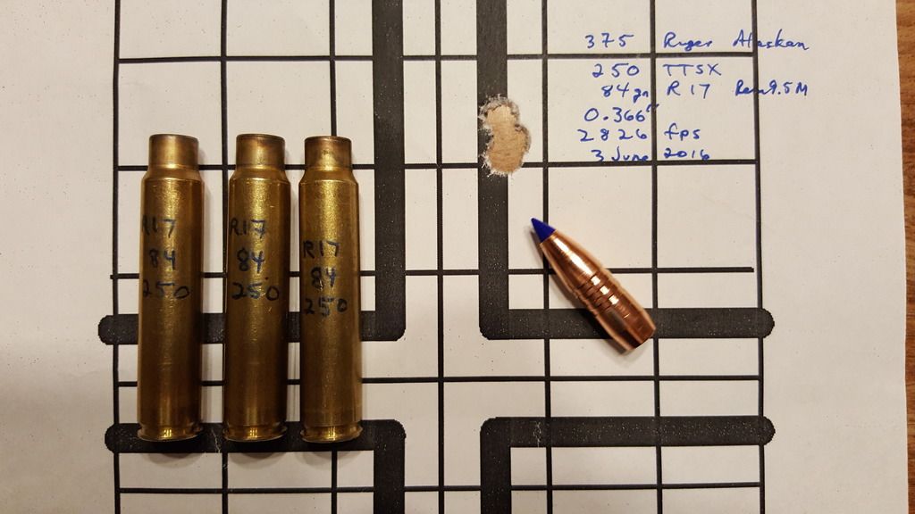 .375 Ruger Plains Game Loads? | AfricaHunting.com